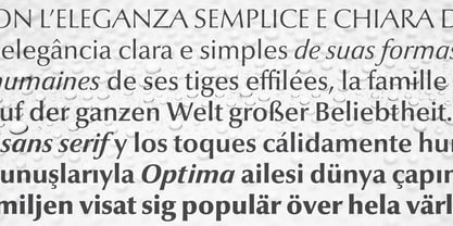 Optima Nova Font Poster 5